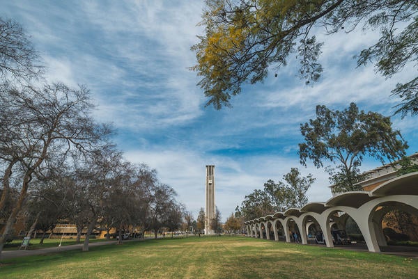 UCR Bell Tower