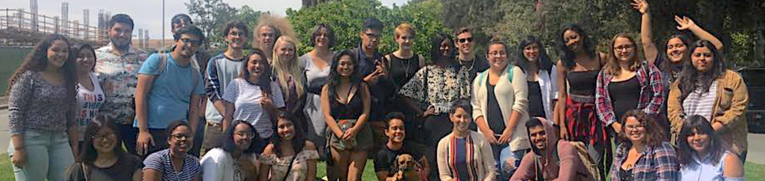 Undergraduate Students